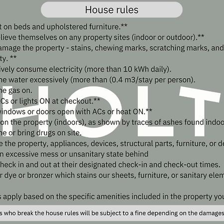سان ميغيل دي الليندي Holt Balcones Guesthouse - King Bed Room المظهر الخارجي الصورة