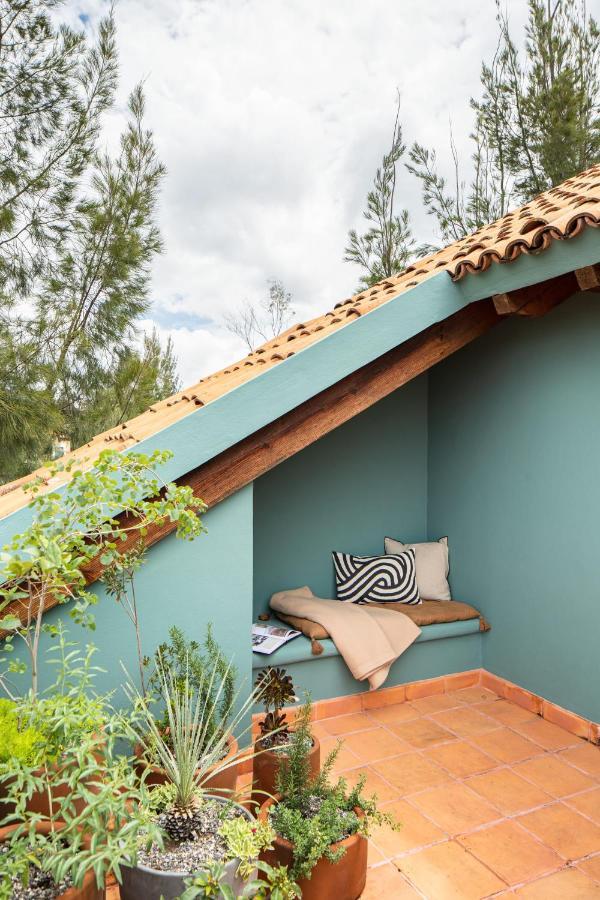 سان ميغيل دي الليندي Holt Balcones Guesthouse - King Bed Room المظهر الخارجي الصورة