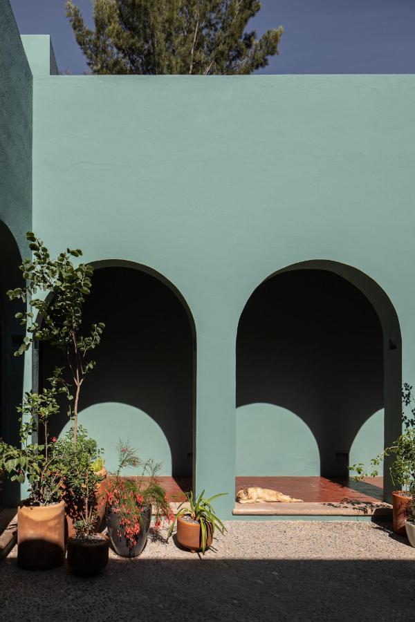 سان ميغيل دي الليندي Holt Balcones Guesthouse - King Bed Room المظهر الخارجي الصورة